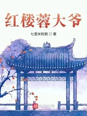 《红楼蓉大爷》小说封面