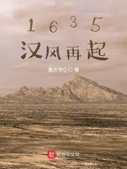 《1635汉风再起》小说封面