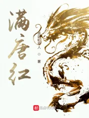 《满唐红》小说封面