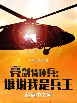 《亮剑特种兵：谁说我是兵王》小说封面