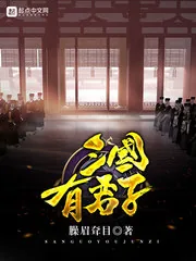 《三国有君子》小说封面