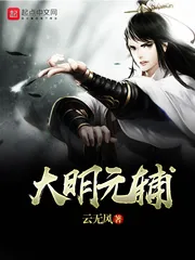 《大明元辅》小说封面