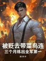 《被贬去带菜鸟连？三个月练出全军第一！》小说封面