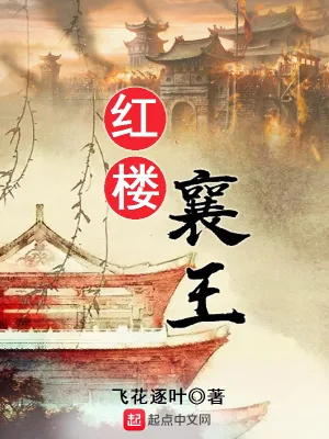 《红楼襄王》小说封面