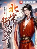 《北宋街溜子》小说封面