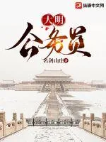 《大明公务员》小说封面