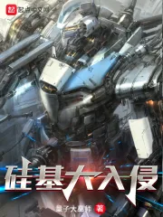 《硅基大入侵》小说封面