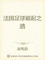 《法国足球崛起之路》小说封面