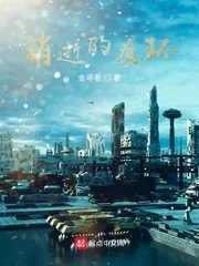 《消逝的魔环》小说封面