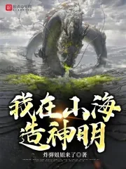《我在山海造神明》小说封面