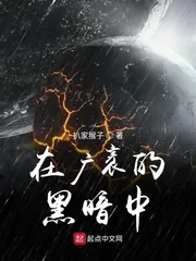 《在广袤的黑暗中》小说封面