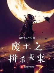 《废土之拼杀未来》小说封面