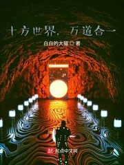 《十方世界，万道合一》小说封面