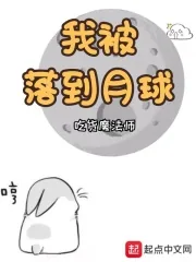 《我被落到月球》小说封面