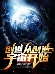 《创世从创造宇宙开始》小说封面