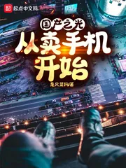 《国产之光：从卖手机开始》小说封面