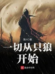 《一切从只狼开始》小说封面
