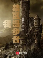 《我，禁区漫步者》小说封面