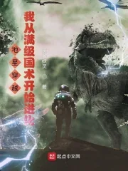 《地星穿越，我从满级国术开始进化》小说封面