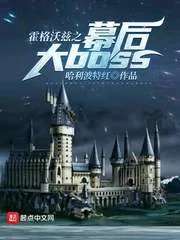 《霍格沃兹之幕后大boss》小说封面