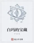 《白玛的宝藏》小说封面