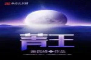 《菁王》小说封面