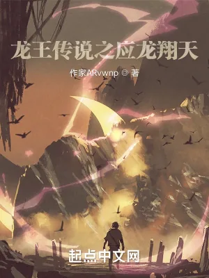 《龙王传说之应龙翔天》小说封面