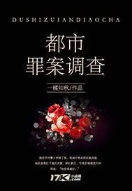 《都市罪案调查》小说封面