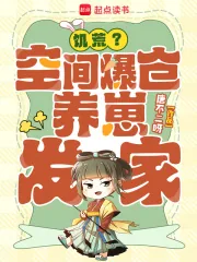 《饥荒？空间爆仓，养崽发家！》小说封面