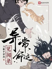 《异常命运见闻录》小说封面