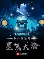 《朕的征途是星辰大海》小说封面