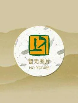 《君略》小说封面
