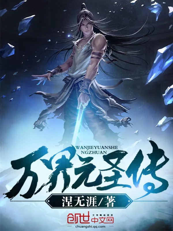 《万界元圣传》小说封面