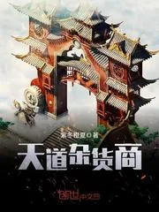 《天道杂货商》小说封面