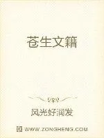 《苍生文籍》小说封面