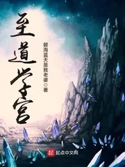 《至道学宫》小说封面