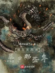《我在关西当屠户那些年》小说封面