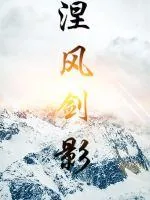 《涅风剑影》小说封面