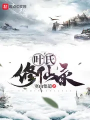 《叶氏修仙录》小说封面
