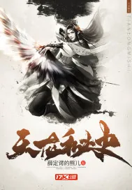 《天龙秘史》小说封面