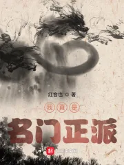 《我真是名门正派》小说封面