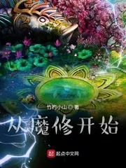 《从魔修开始》小说封面