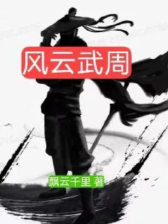 《风云武周》小说封面