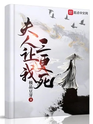 《夫人让我三更死》小说封面
