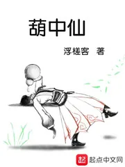 《葫中仙》小说封面