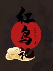 《红鸟记》小说封面
