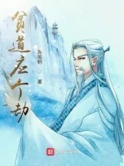 《贫道应个劫》小说封面