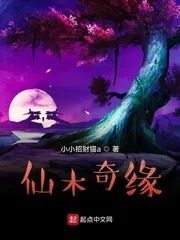 《仙木奇缘》小说封面