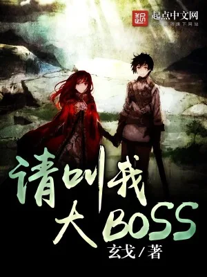 《请叫我大BOSS》小说封面