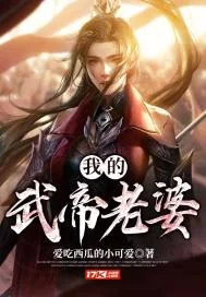《我的武帝老婆》小说封面
